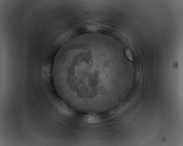 X0000102520275200808081434