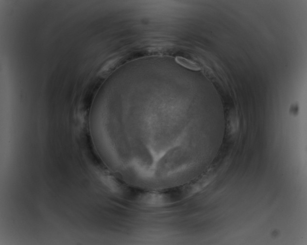 X0000102520276200808081434