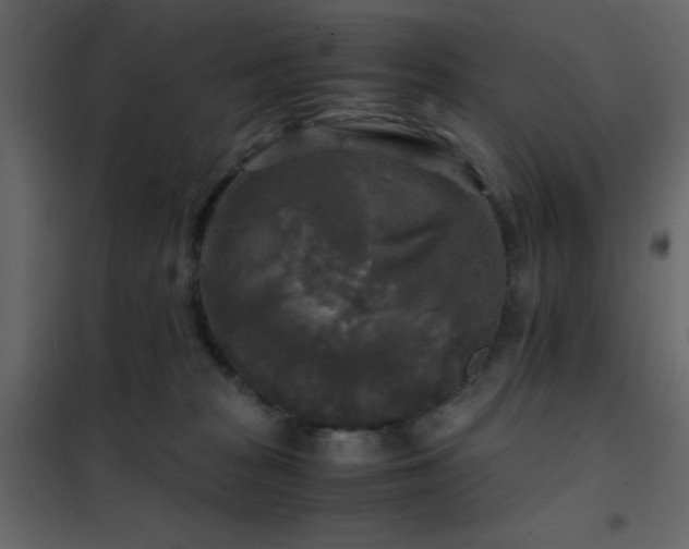 X0000102520277200808081434