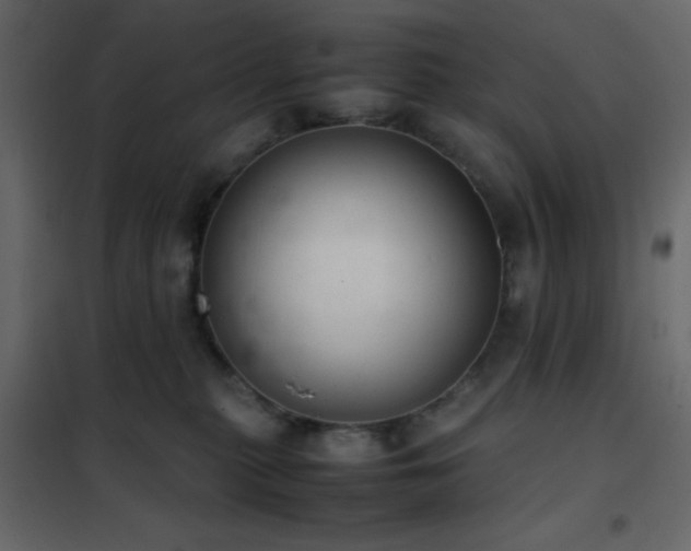 X0000102520279200808081434