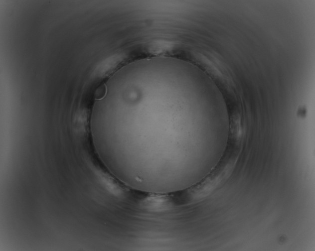 X0000102520280200808081434