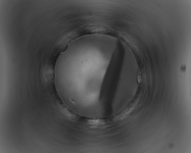 X0000102520281200808081434