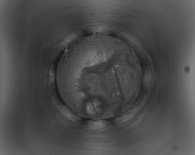 X0000102520282200808081434