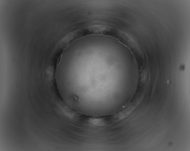 X0000102520283200808081434