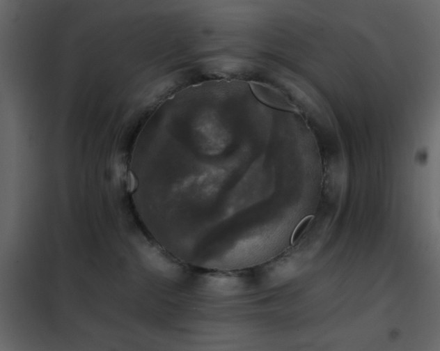 X0000102520284200808081434