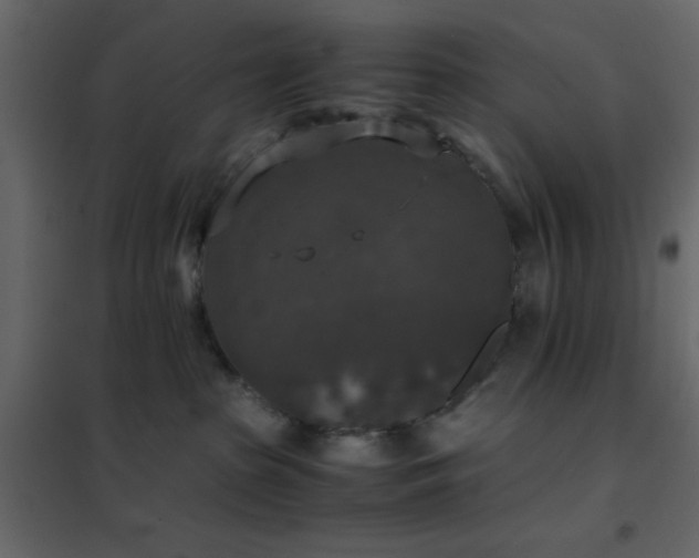 X0000102520285200808081434