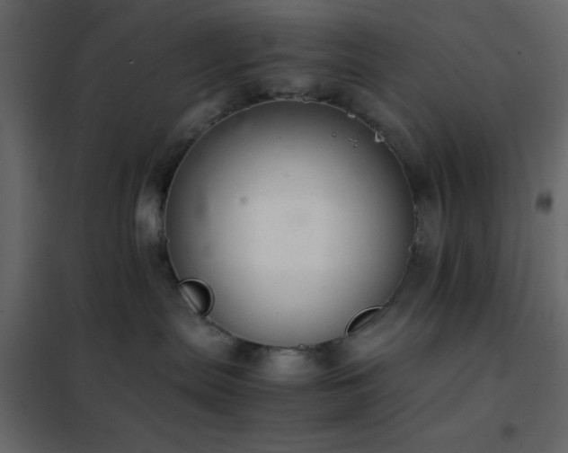 X0000102520287200808081434