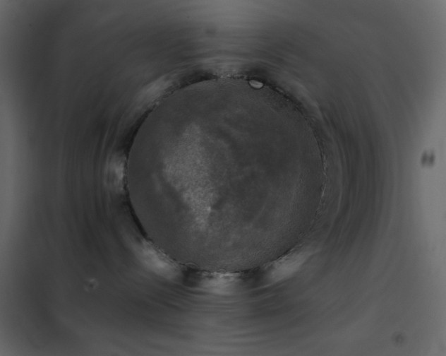 X0000102520288200808081434