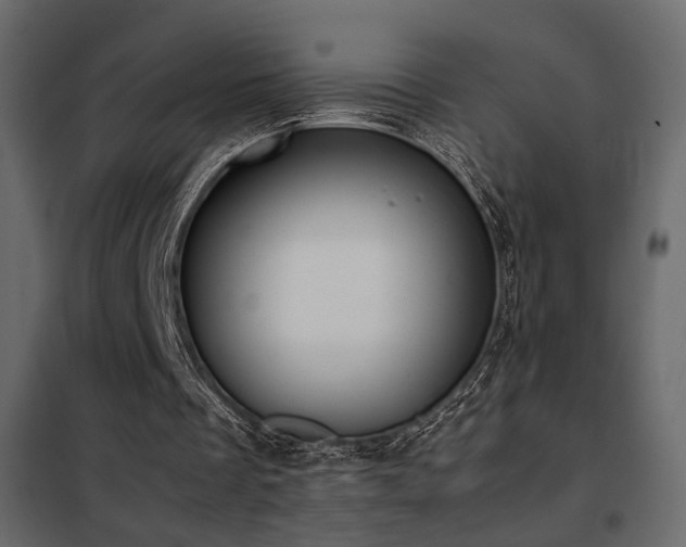 X0000102520289200808081434