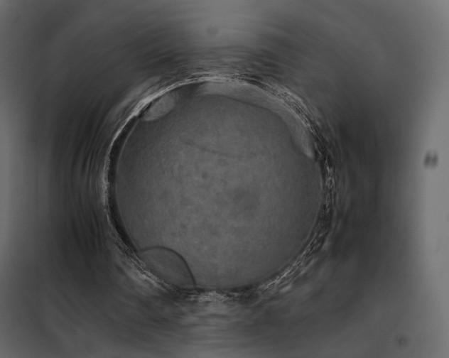 X0000102520290200808081434