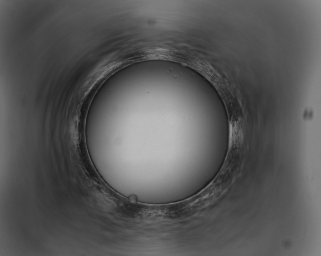 X0000102520291200808081434