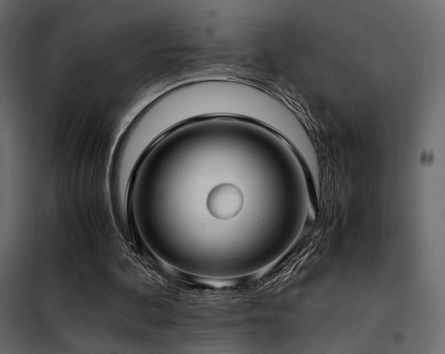 X0000102520292200808081434