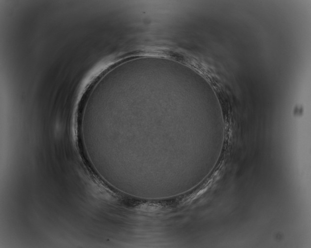 X0000102520294200808081434