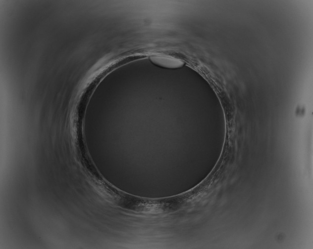 X0000102520295200808081434