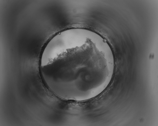 X0000102520297200808081434