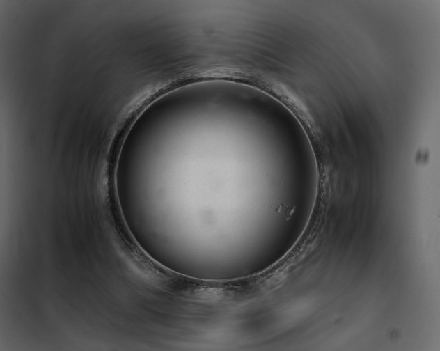 X0000102520298200808081434