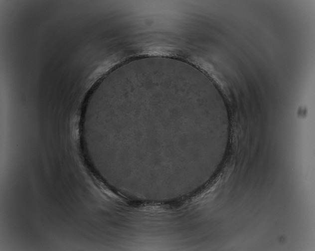 X0000102520299200808081434