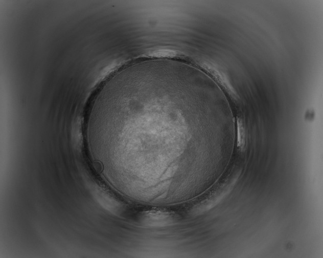 X0000102520300200808081434