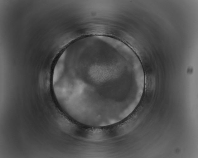 X0000102520301200808081434