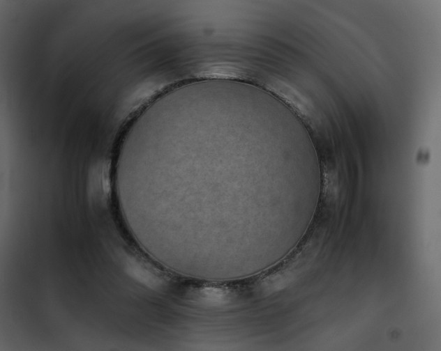 X0000102520302200808081434