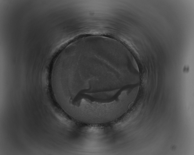 X0000102520303200808081434