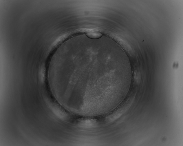 X0000102520304200808081434