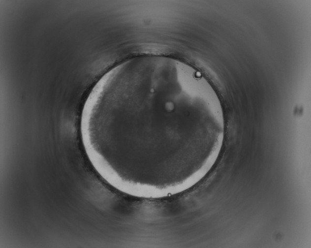 X0000102520305200808081434