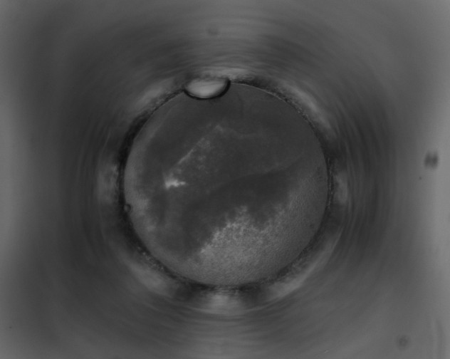 X0000102520308200808081434