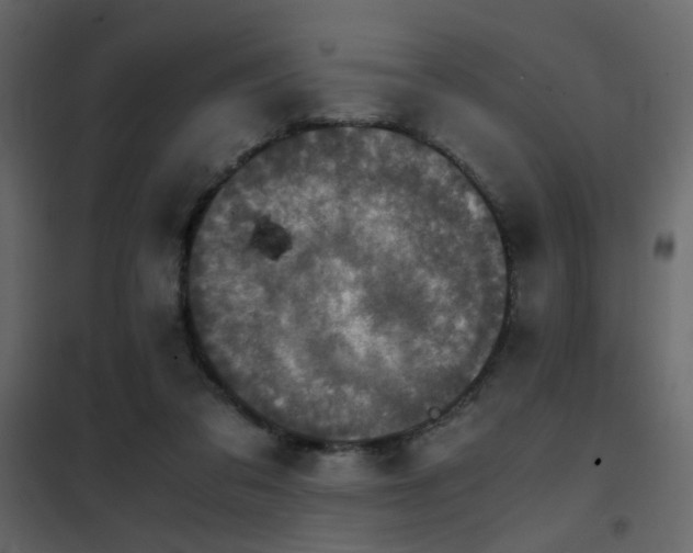 X0000102520309200808081433