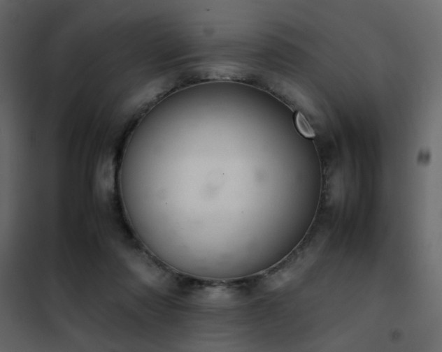 X0000102520310200808081433