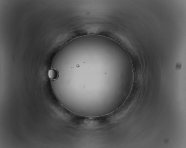 X0000102520311200808081433