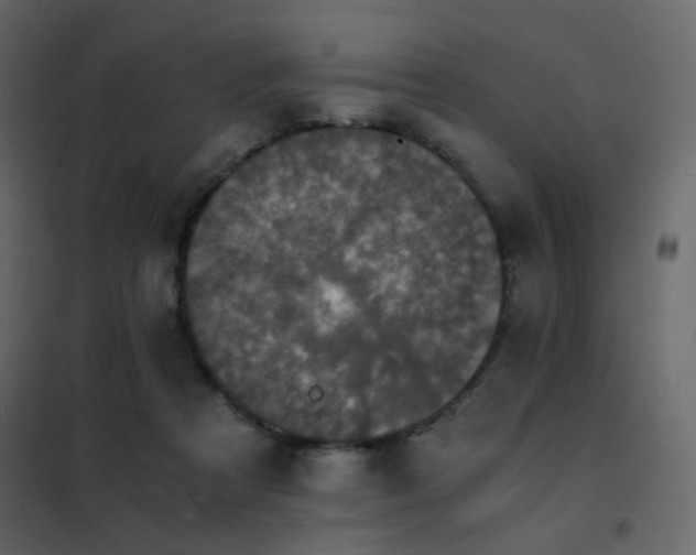 X0000102520313200808081433