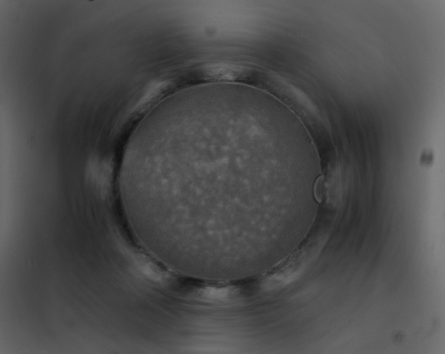 X0000102520314200808081433