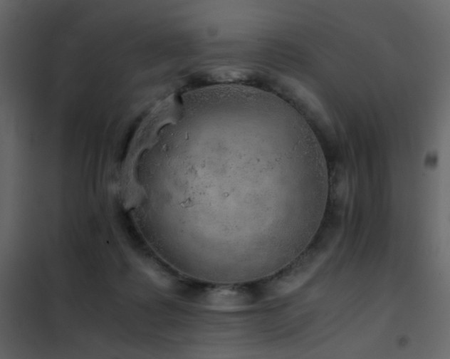 X0000102520315200808081433