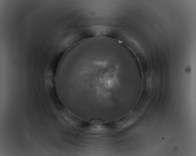 X0000102520316200808081433