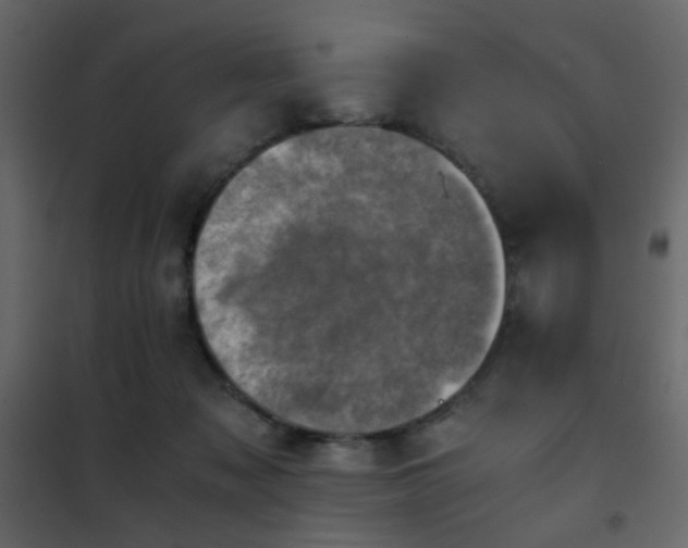 X0000102520317200808081433