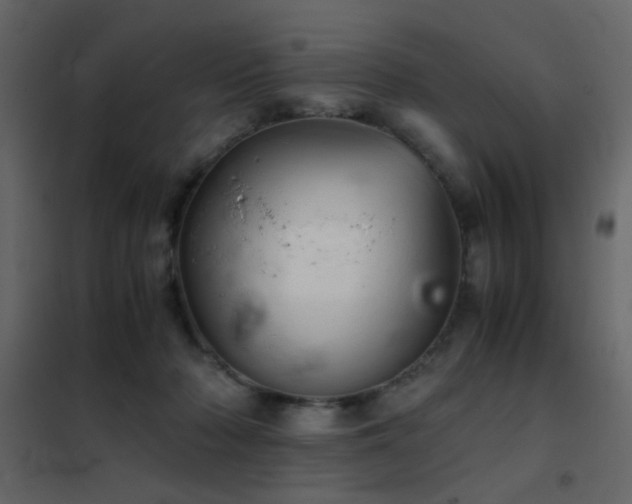 X0000102520318200808081433