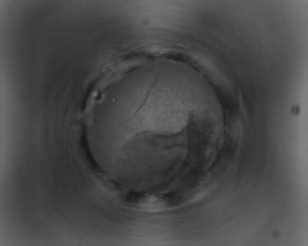 X0000102520319200808081433