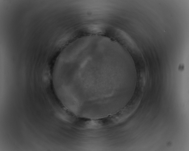 X0000102520320200808081433