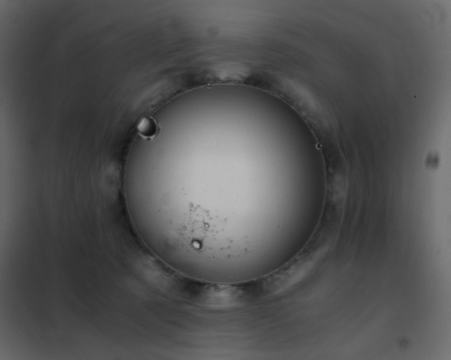 X0000102520321200808081433