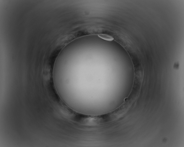 X0000102520323200808081433