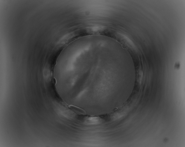 X0000102520324200808081433