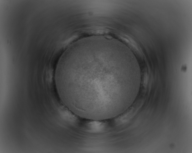 X0000102520326200808081433