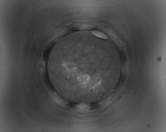 X0000102520327200808081433