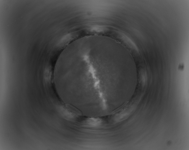 X0000102520328200808081433