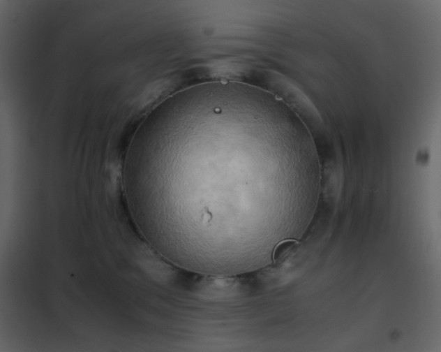 X0000102520329200808081433