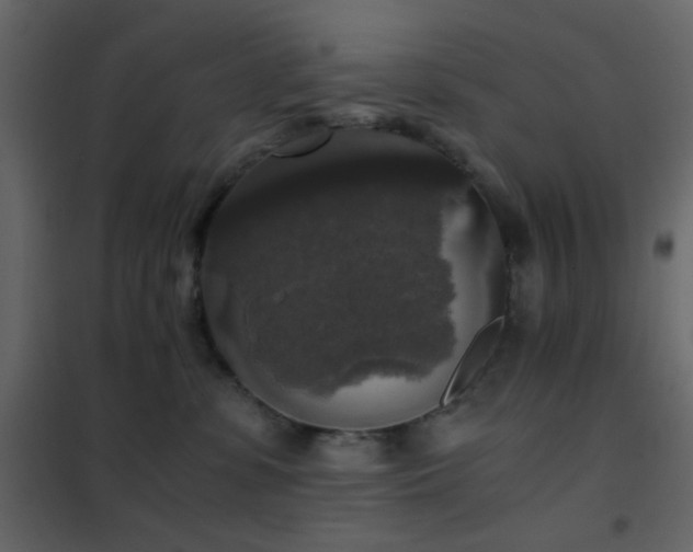 X0000102520331200808081433