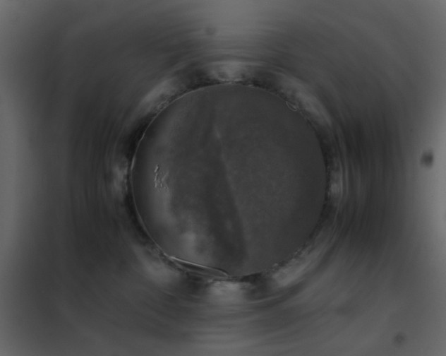 X0000102520332200808081433