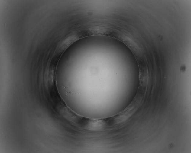 X0000102520334200808081433