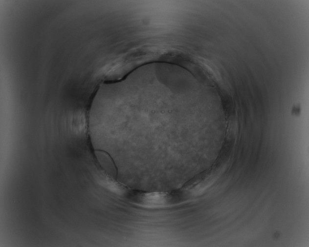 X0000102520335200808081433